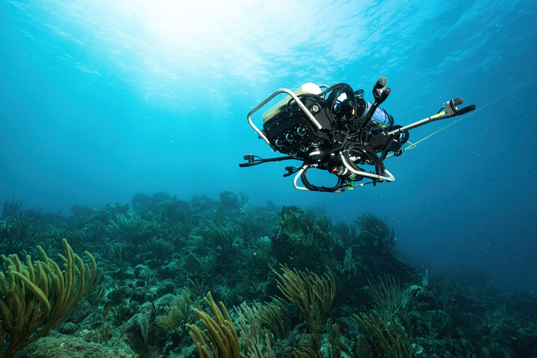 Turning the Tide on Coral Reef Decline: CUREE Robot Dives Deep With Deep Learning