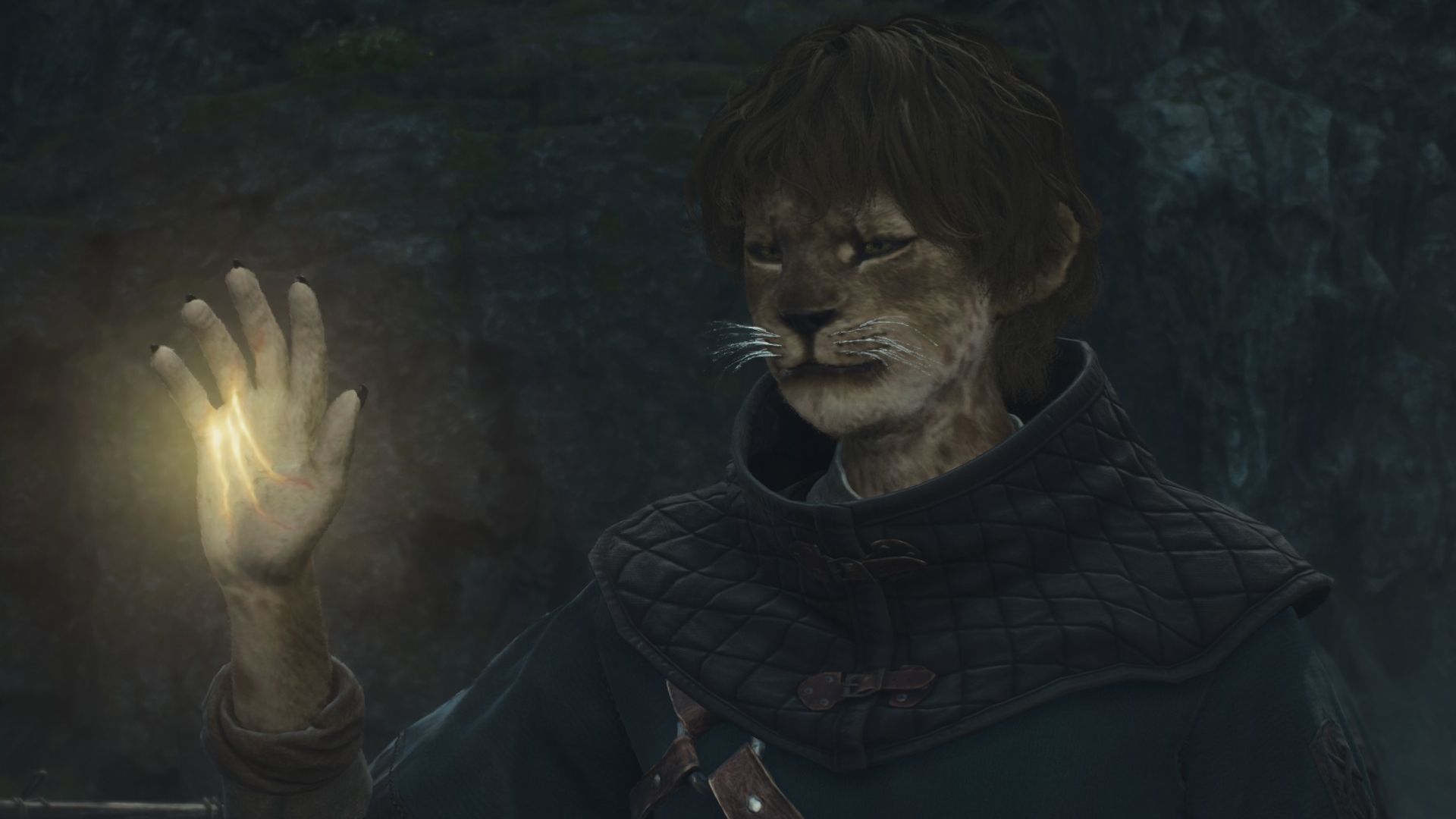 There’s a Dragon’s Dogma 2 mod to make pawns shut the hell up and thank goodness for that