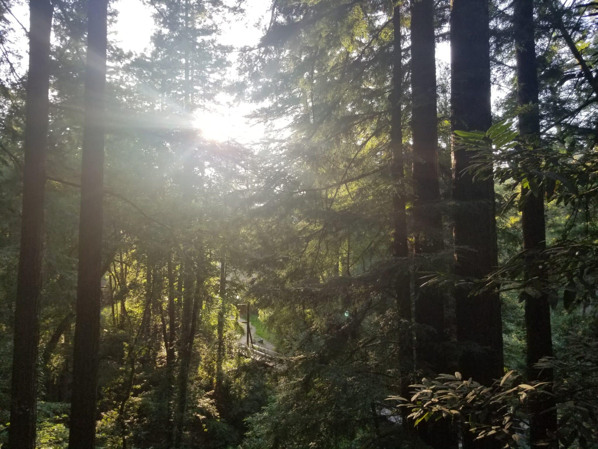 How Basecamp Research Helps Catalog Earth’s Biodiversity