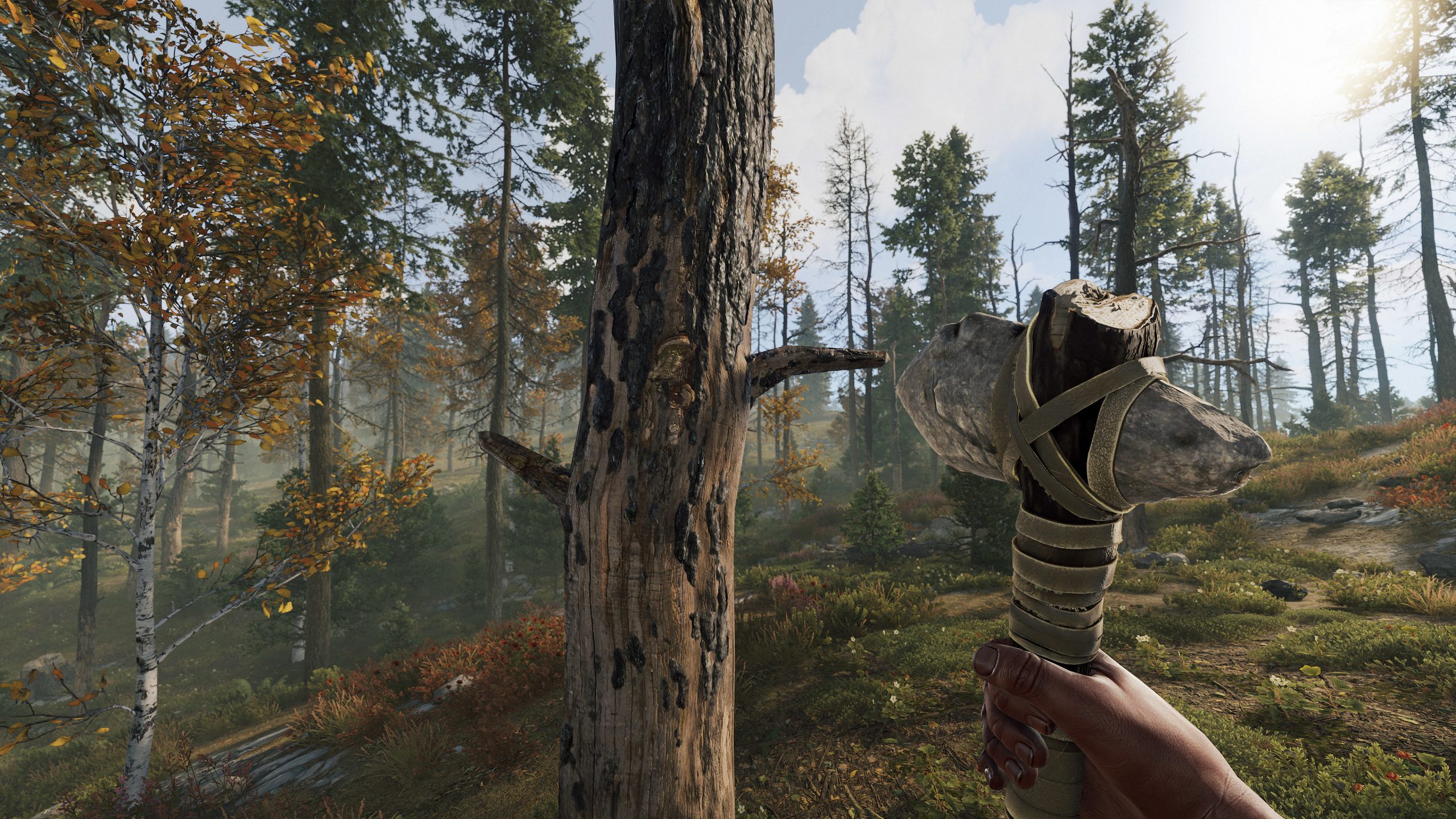 Steam’s Open World Survival Crafting Fest offers tree punching at low prices