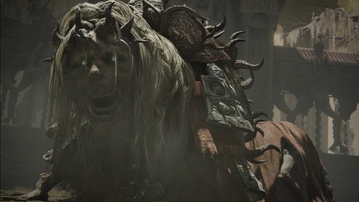 Our Concerns for the Elden Ring Shadow of the Erdtree DLC