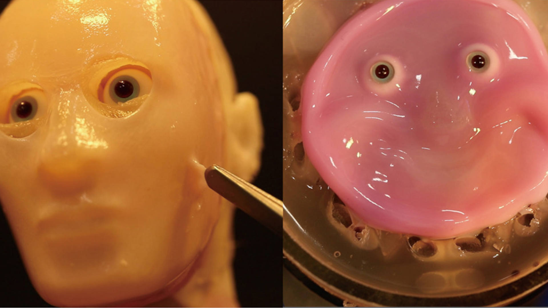 Scientists create a face for robots out of ‘cultured human cells’ and it’s something that I wish I could unsee now