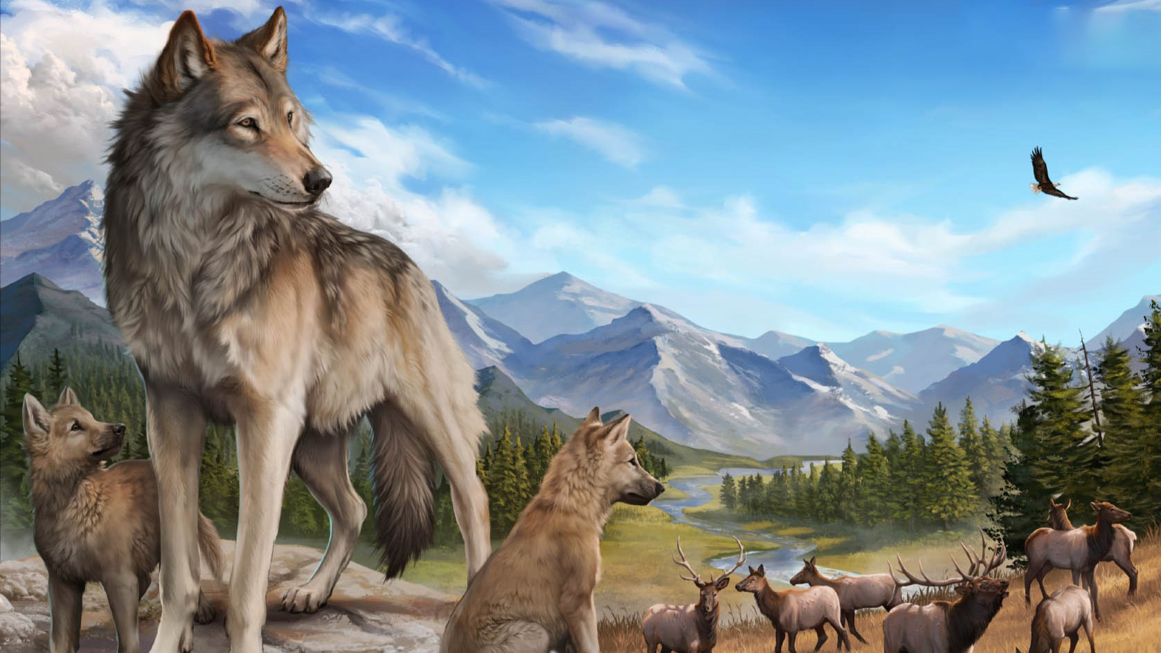 ‘There aren’t 3 new wolf simulation games coming out every month’: 17 years in, this multiplayer wolf edutainment game from the Minnesota Zoo has an improbably loyal fandom keeping it alive
