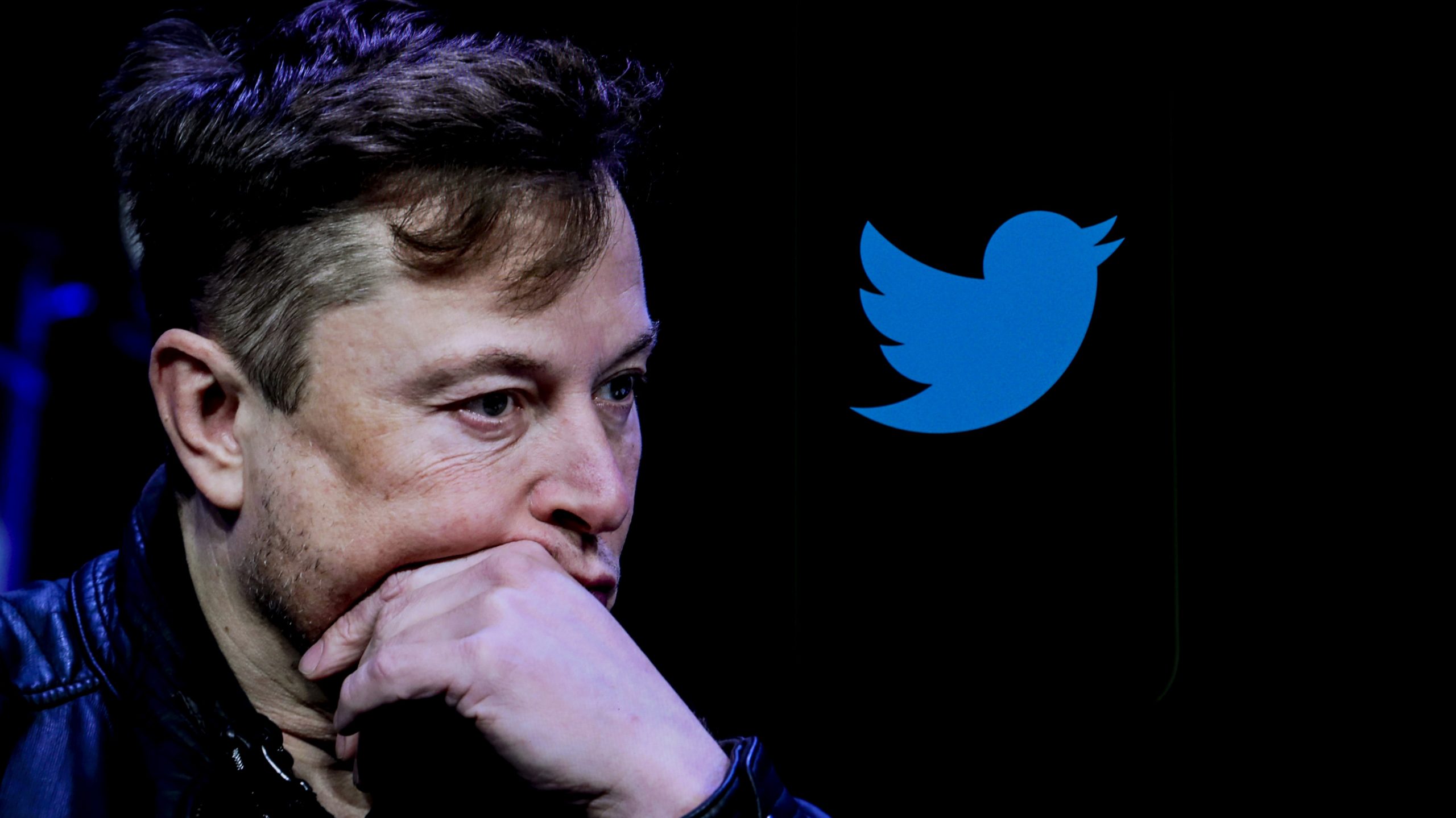 ‘Now it is war’: Elon Musk and Twitter accuse an advertising alliance, which includes EA and Twitch, of conspiring against the platform and breaking US antitrust law