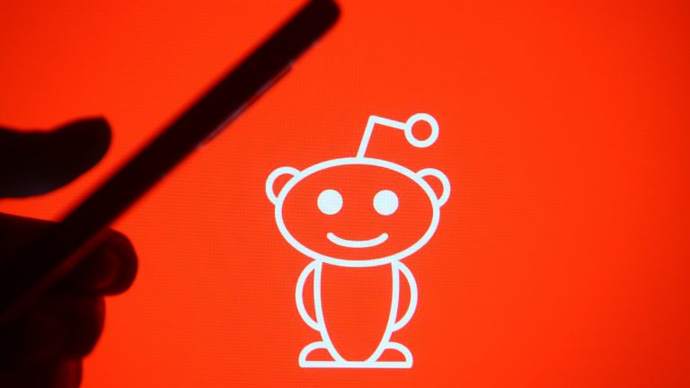 Reddit just turned a profit for the first time in 20 years and its Google and OpenAI partnerships played a surprisingly small part in it