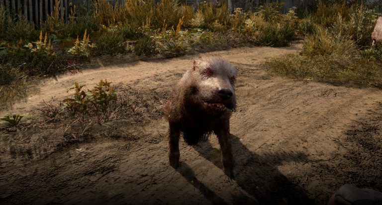 In Stalker 2’s horror-filled Zone, nothing is more terrifying than encountering a small, malnourished dog