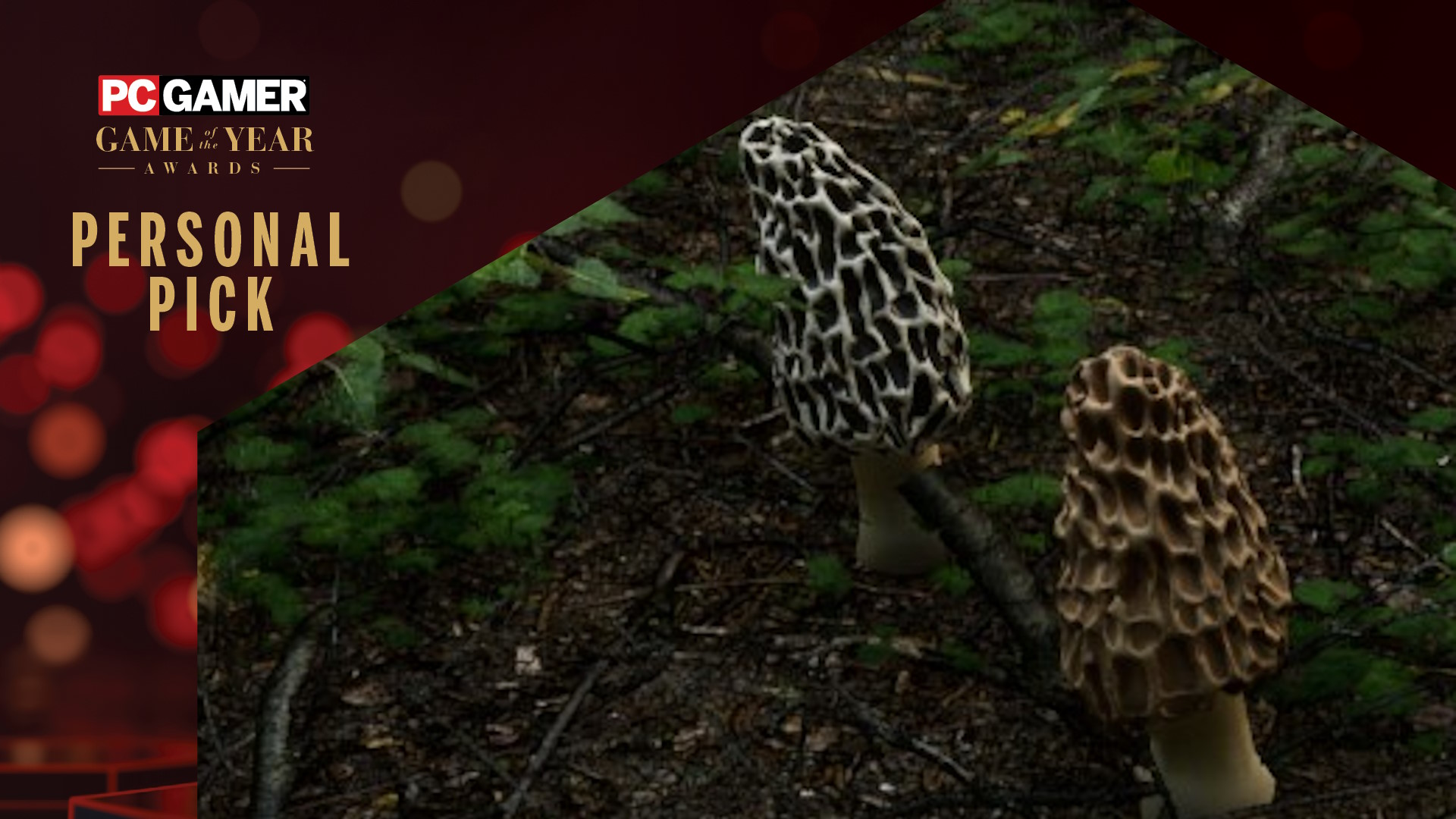 Morels: The Hunt 2 is a great outdoors vibe when you’re stuck indoors