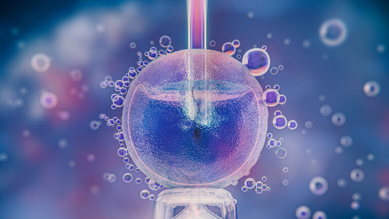 Time-Lapse AI Model Enhances IVF Embryo Selection