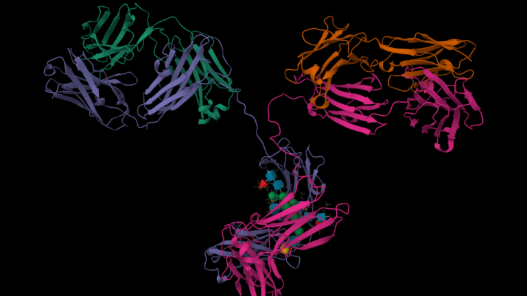 In-Silico Antibody Development with AlphaBind Using NVIDIA BioNeMo and AWS HealthOmics