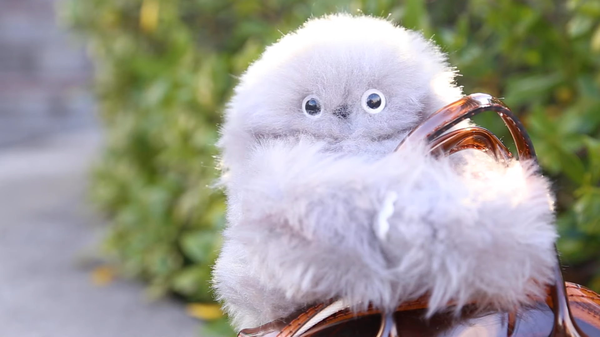 Existential horror or cute fuzzy bag buddy? CES is off to a flying start with the wackiest tech for 2025