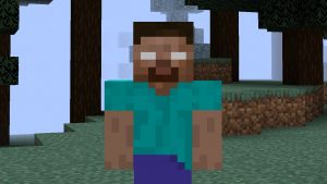 Sorry everyone, Minecraft 2 is cancelled, and it might be our fault