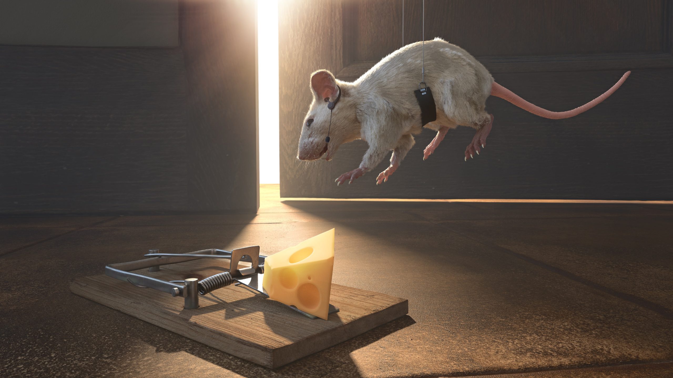 Google’s AI made up a fake cheese fact that wound up in an ad for Google’s AI, perfectly highlighting why relying on AI is a bad idea