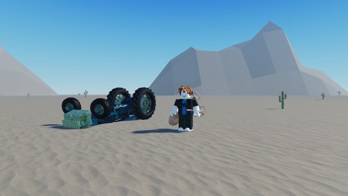 Desert Detectors Codes (February 2025)