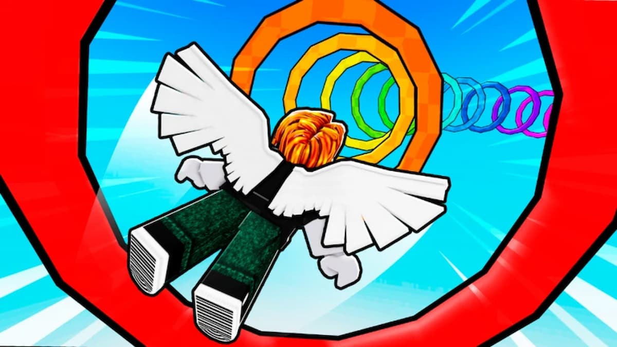 Flying Wings Race Simulator Codes (February 2025)