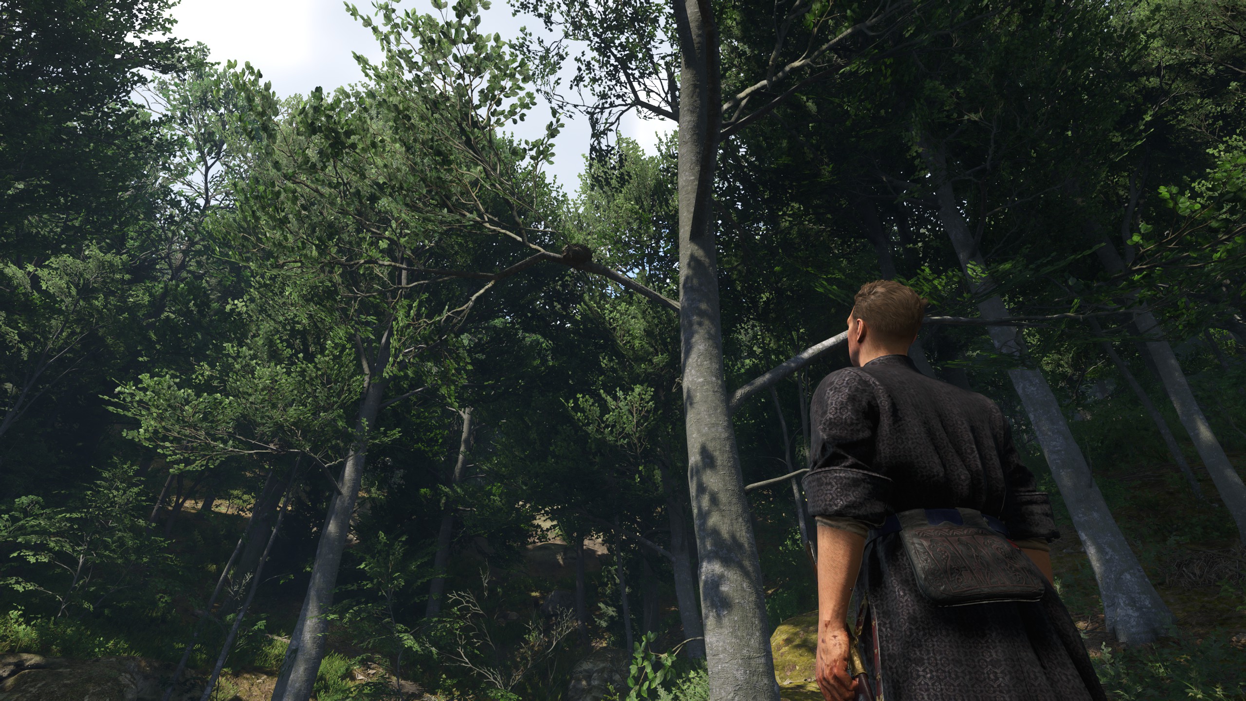 How to knock down bird nests in Kingdom Come: Deliverance 2