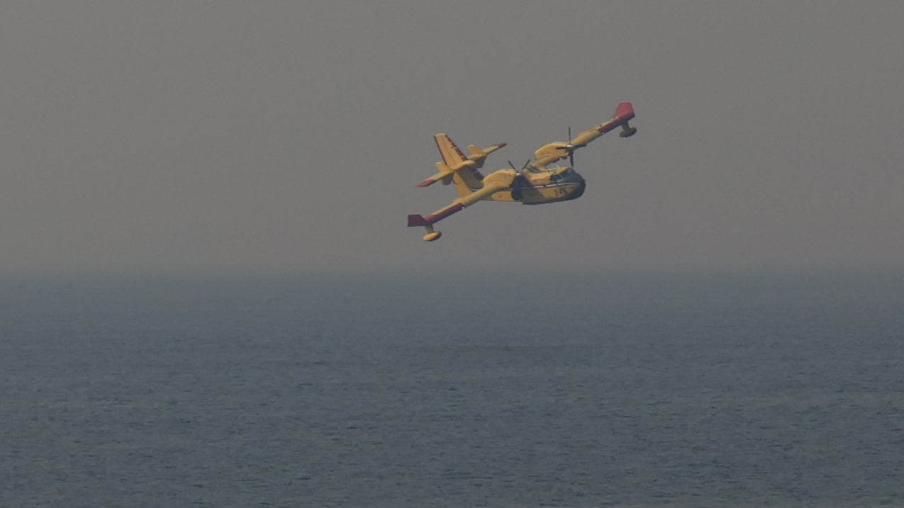 Turns out the guy who hit a firefighting plane with a drone in LA was Treyarch co-founder Peter Akemann