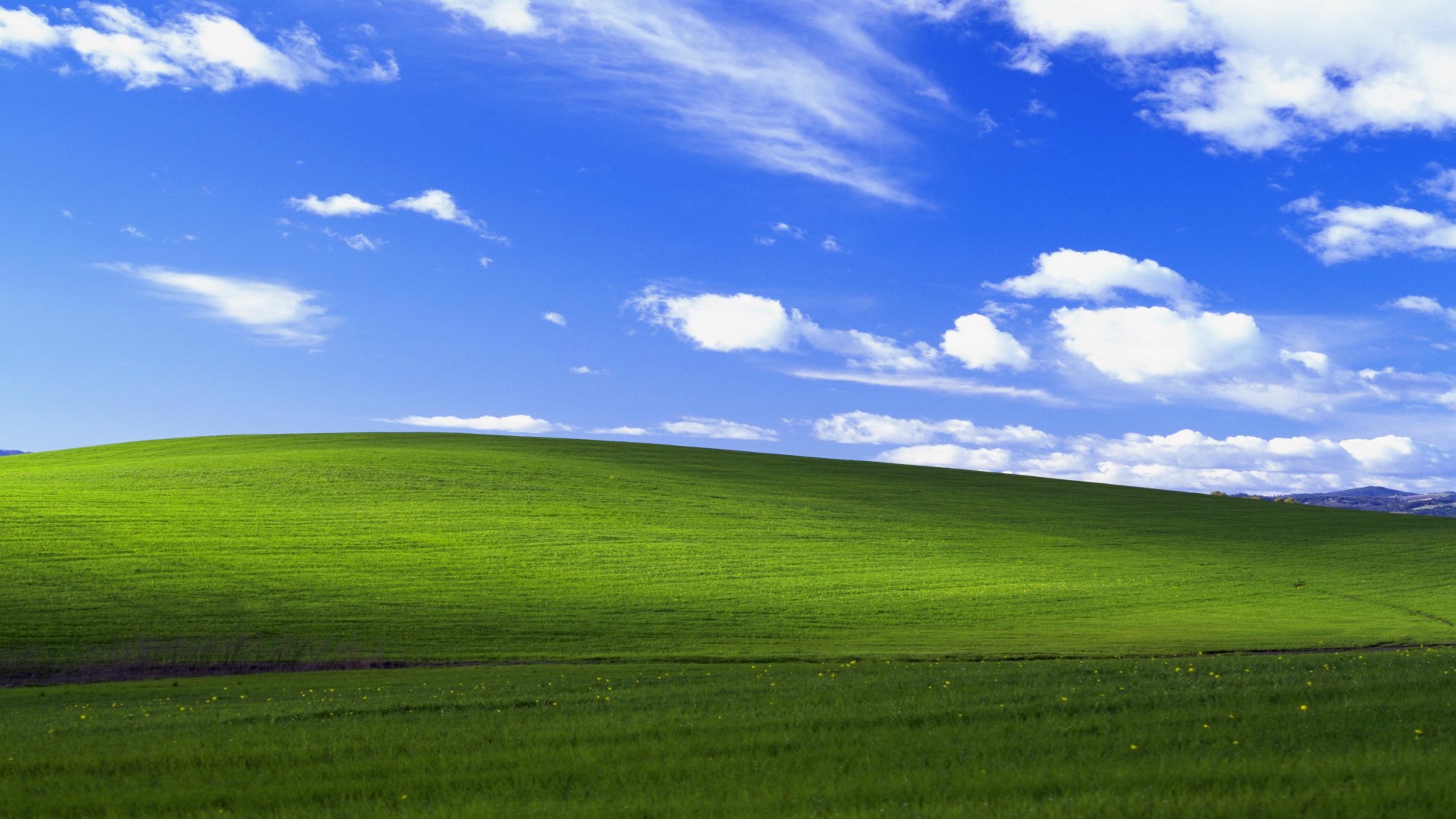 From pixels to pinot: The Windows XP ‘Bliss’ wallpaper hill was real and this is what it looks like now