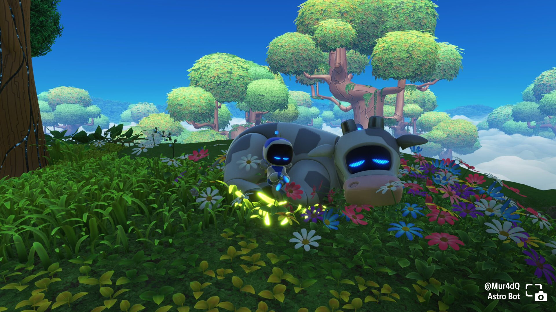 Share of the Week: Nature