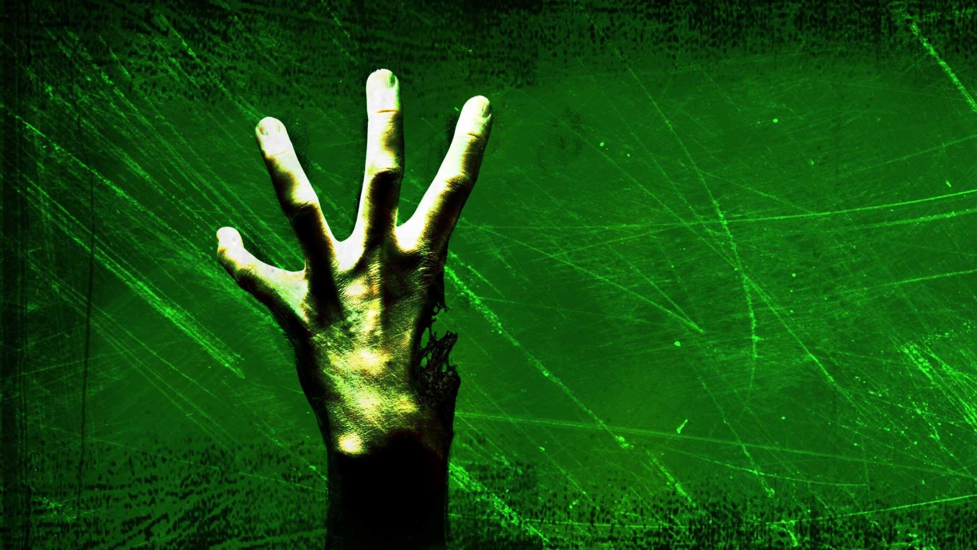 After a ‘catastrophic’ hack, 4chan has risen from the grave: ‘No other website can replace it, or this community’