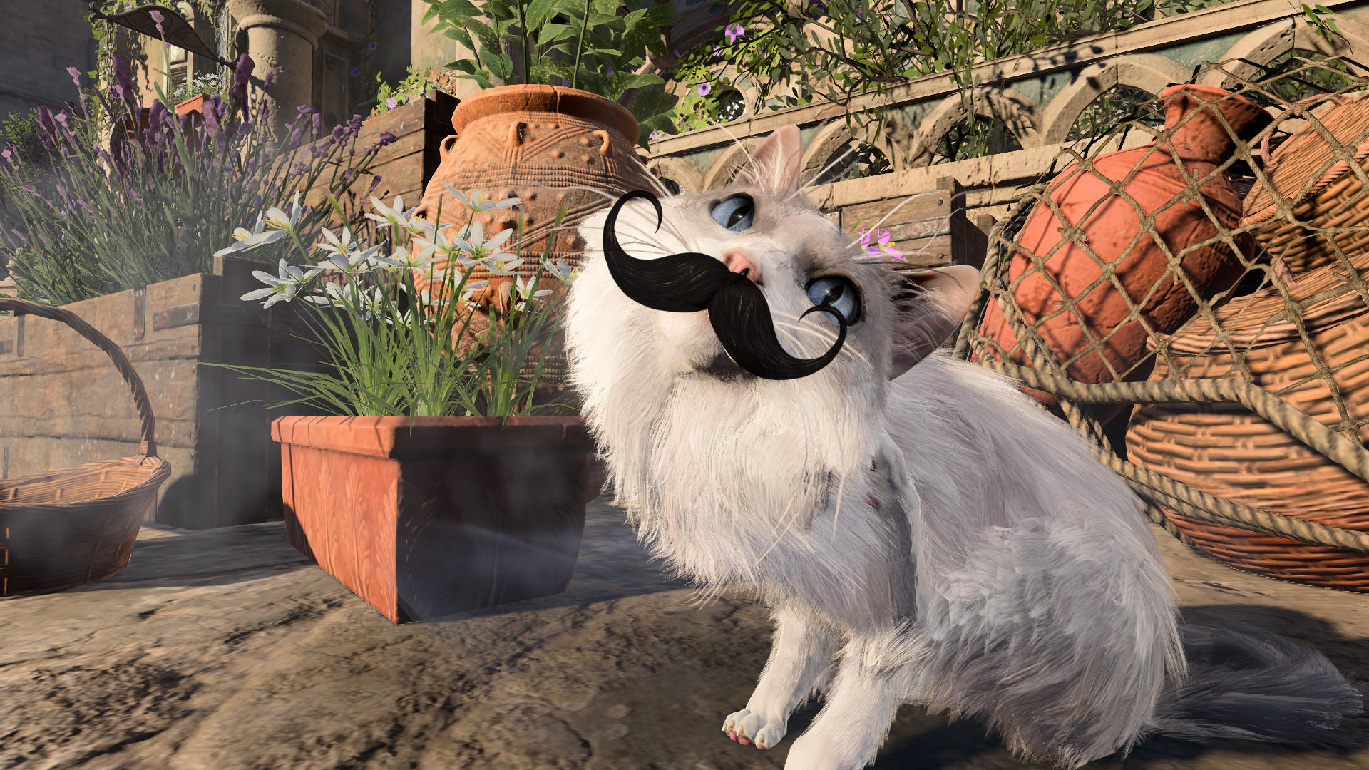 Baldur’s Gate 3’s excellent new photo mode is full of details, dances, and poses for your cat—as well as 7 different ways to vogue, because why not