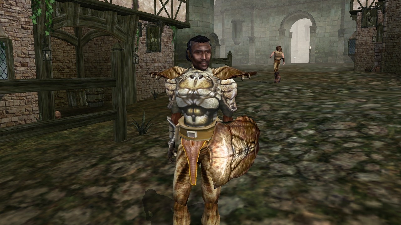Oblivion Remastered is great and all, but Morrowind remains the Bethesda RPG that I could play forever