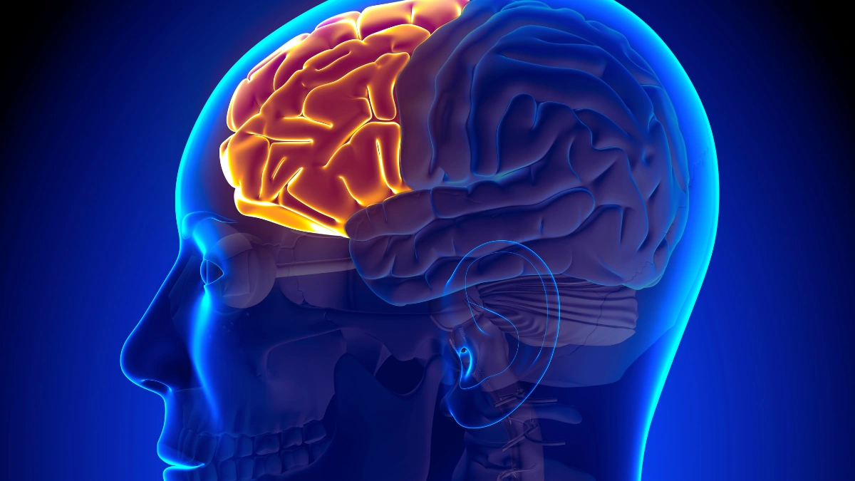 Hack Your Dreams: Open-Source Tools to Record and Control Lucid Dreaming!