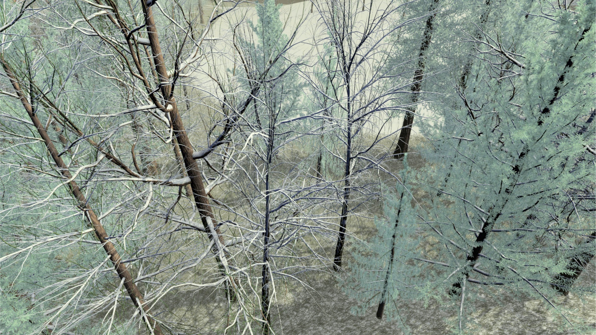 Graphics researchers have created a GPU-run procedural algorithm for creating an equivalent 35.6 GB worth of trees, leaves, and brushes from just 52 kB of data
