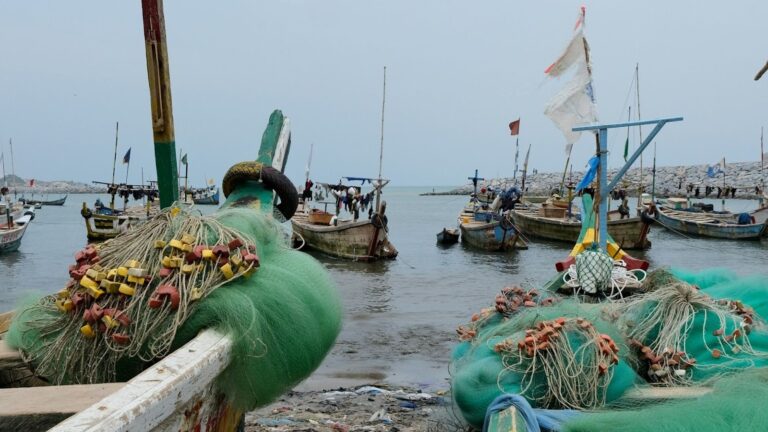 AI Helps Locate Dangerous Fishing Nets Lost at Sea