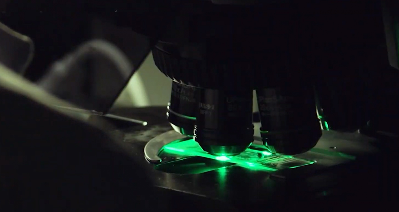 IQVIA and NVIDIA Harmonize to Accelerate Clinical Research and Commercialization With AI Agents