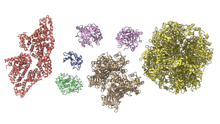 Maximizing OpenMM Molecular Dynamics Throughput with NVIDIA Multi-Process Service
