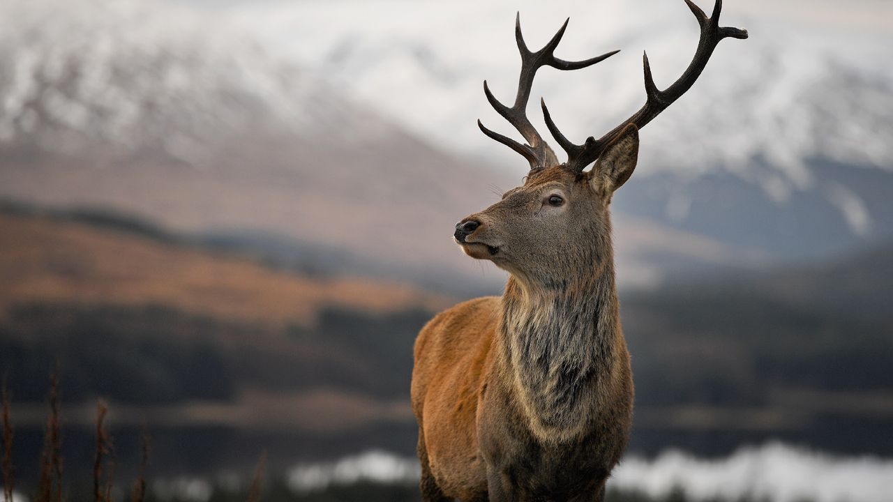 ‘The hunting genre was because of Wal-Mart:’ Doom dev John Romero says the entire category was created to appease one Texan executive