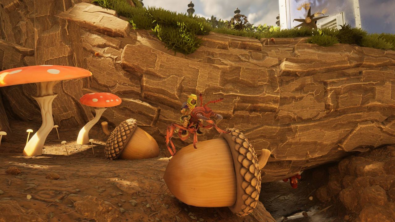 Where to find acorn tops and acorn shells in Grounded 2