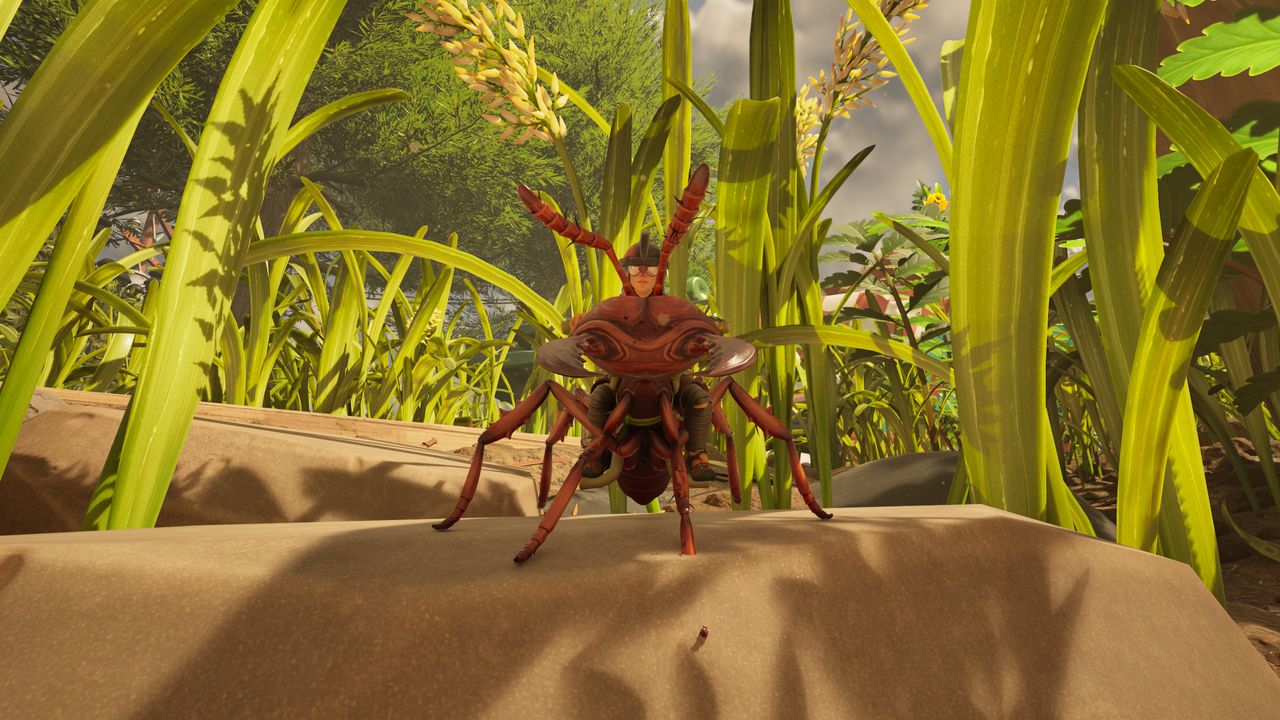 Where to find grass seeds in Grounded 2