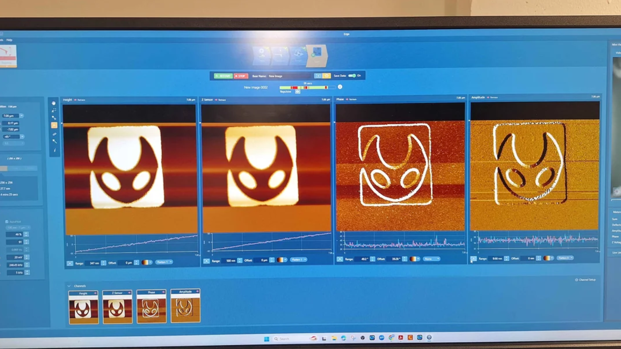Silksong fan uses electrons to draw the ‘world’s smallest Hornet’, which is ‘about 1/5 the width of a strand of silk’, ‘2 bacteria long’, and ‘8,000 times smaller’ than the actual insect