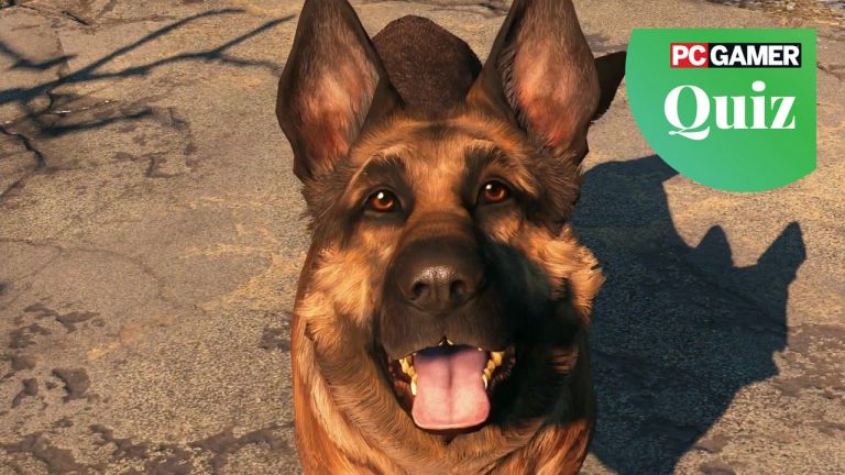 Can you guess the dog? Sink your teeth into our canine quiz!