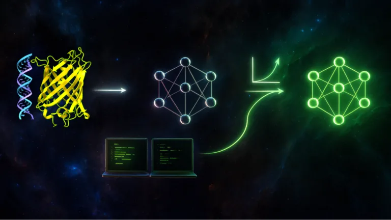 Scale Biology Transformer Models with PyTorch and NVIDIA BioNeMo Recipes
