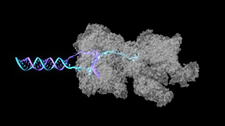 How to Predict Biomolecular Structures Using the OpenFold3 NIM