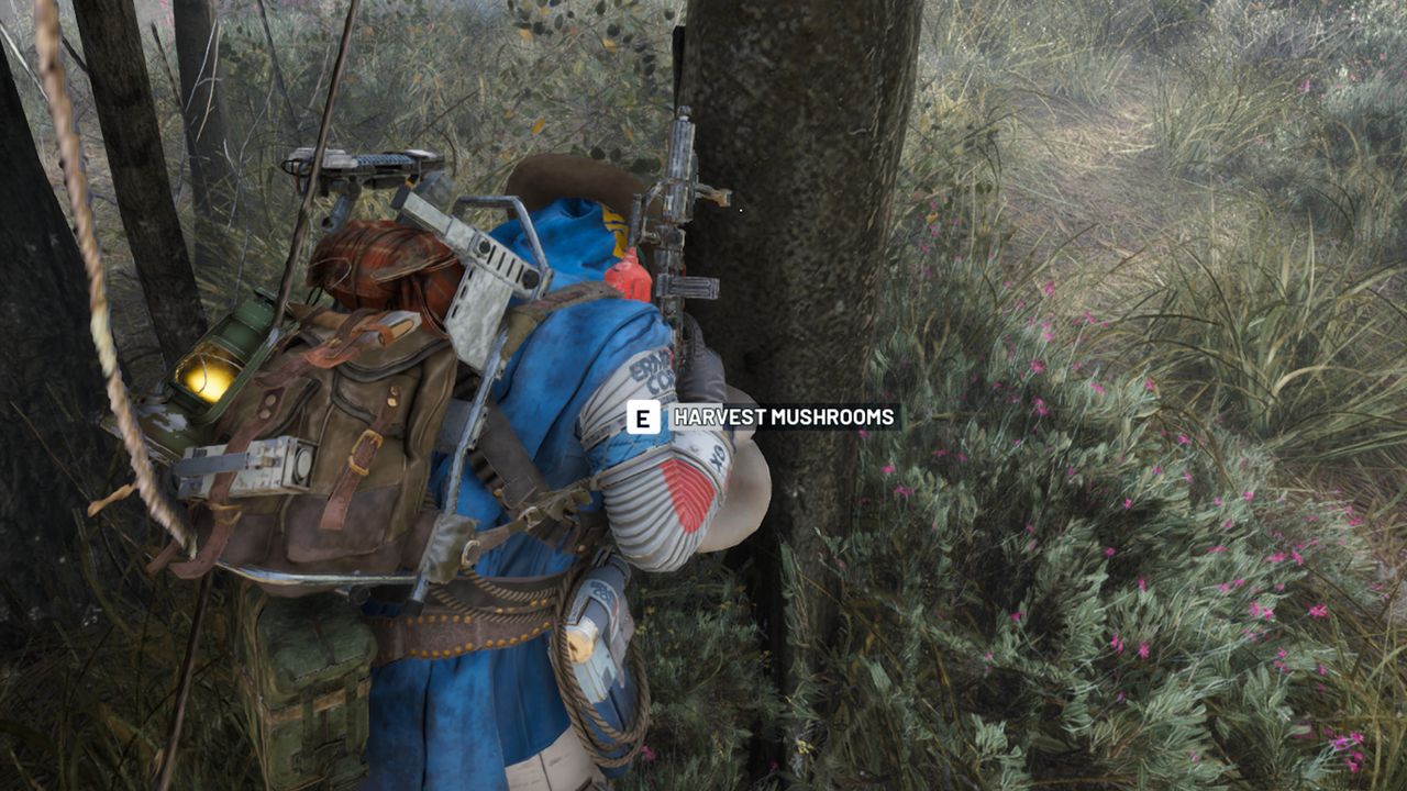 Where to find mushrooms in Arc Raiders