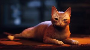 Gaming collectible purveyor iam8bit is suing publisher Skybound over alleged fraud related to cat sim Stray