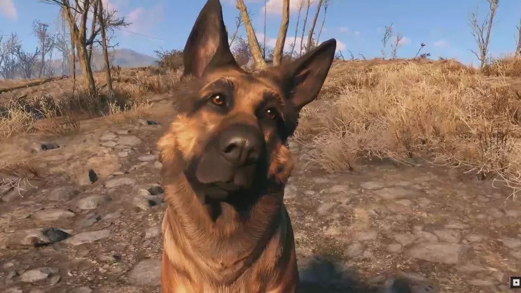 I thought I was crazy for thinking Fallout 4 feels like a perfectly crisp fall day, but that’s exactly what Bethesda was aiming for after a ‘field trip’ to a national park: ‘I was like, this is what our world needs to look like’