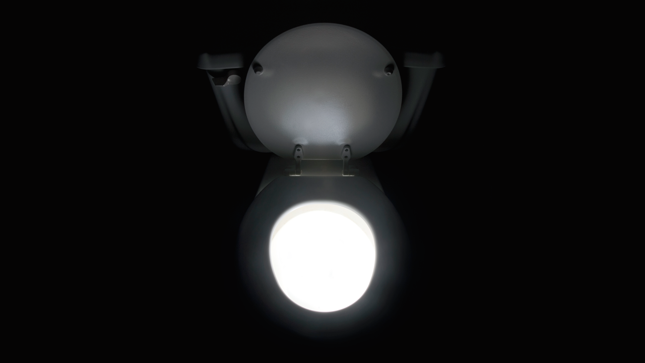 Japanese toilet manufacturer reportedly ‘most undervalued and overlooked’ beneficiary of AI boom