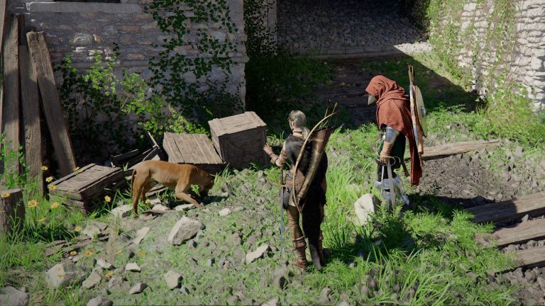 How to get pets in Crimson Desert