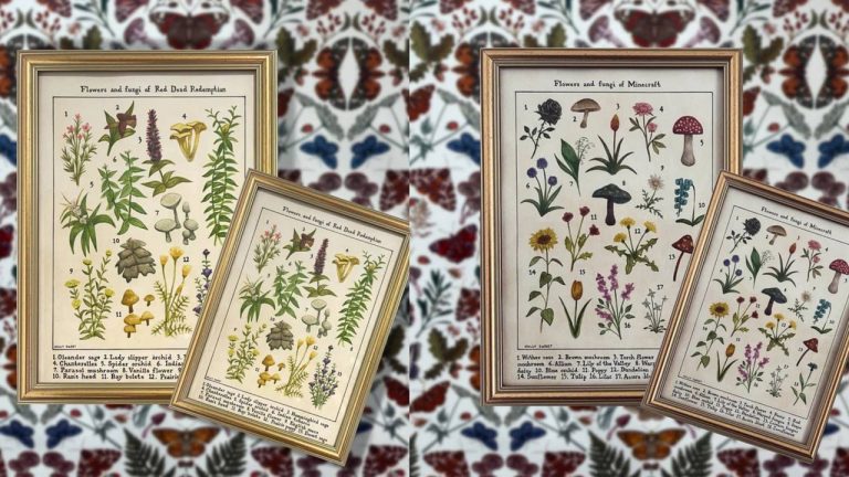 I’m determined to turn my house into a museum with these stunning wildlife identification paintings from Holly Sweet Illustration