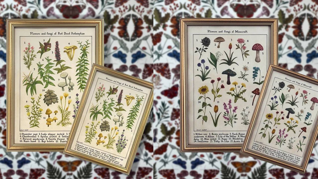 I’m determined to turn my house into a museum with these stunning wildlife identification paintings from Holly Sweet Illustration