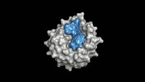 Designing Protein Binders Using the Generative Model Proteina-Complexa