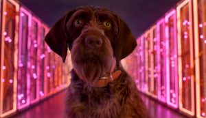 Google executive responsible for AI has a solution for the game industry’s problems, and you’re not going to believe this but it’s AI