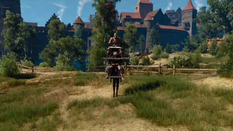 The Witcher 3 multiplayer mod adds new setting-appropriate features, like the ability to form a totem pole of Geralts or turn into a fox
