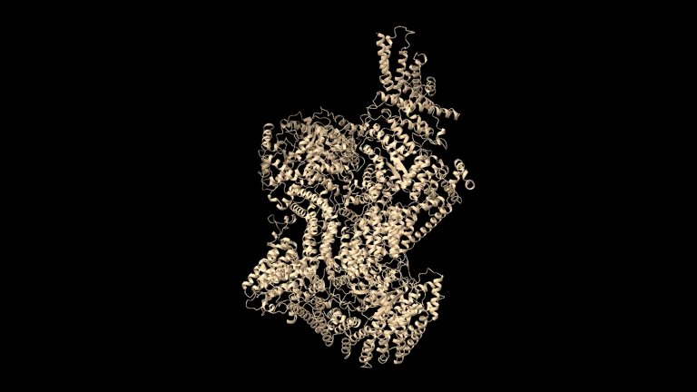 Scaling Biomolecular Modeling Using Context Parallelism in NVIDIA BioNeMo