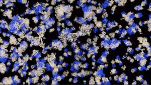 How to Accelerate Protein Structure Prediction at Proteome-Scale