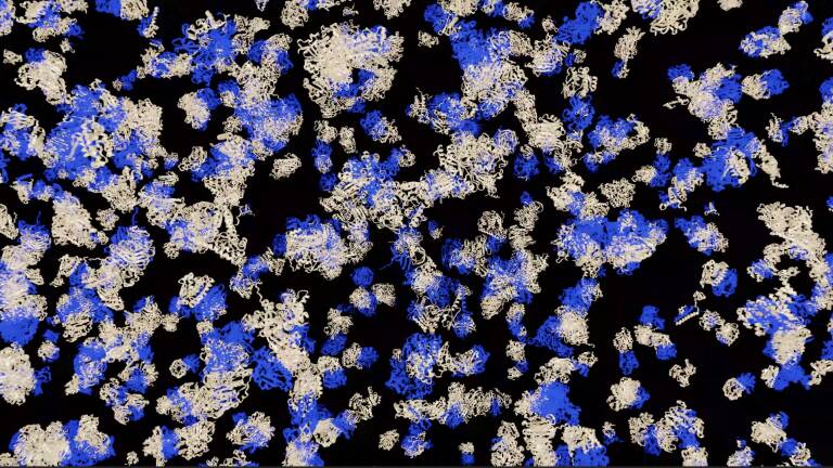 How to Accelerate Protein Structure Prediction at Proteome-Scale